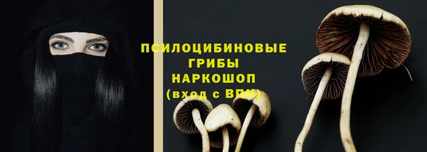 PSILOCYBIN Абаза